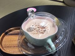-逗柴咖啡屋·狗咖猫咖宠物桌游