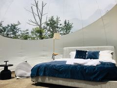 -南通鲜花小镇