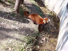 -宁波野生动物园