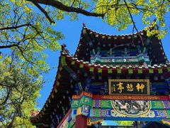 -沂蒙山旅游区云蒙景区(蒙山国家森林公园)