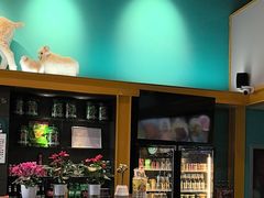 -大白羊蝎子馆(后沙峪山姆店)