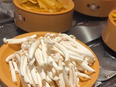 -龍歌自助小火锅(崂山丽达店)