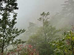 -明堂山风景区