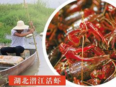 -重庆小天鹅(英雄山路店)