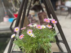 -泉乐坊步行街(烟酒特产平价超市店)