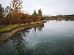 -东郊湿地公园