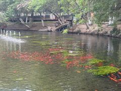 -水磨沟公园
