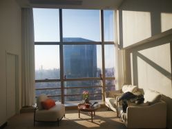 点击看大图 -JNK皮肤管理中心