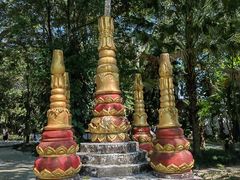 -瑞丽独树成林风景区