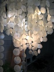 -星光贝贝(万达店)