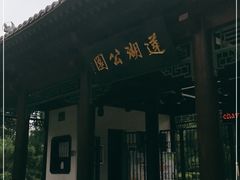 -莲湖公园