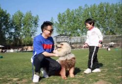-上美四季动物农场