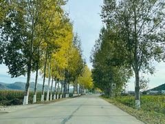 -图们国门景区