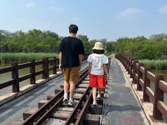 -西青郊野公园