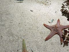 -长沙海底世界