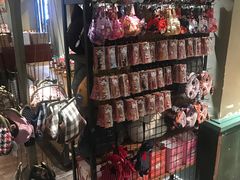 -猫咪博物馆(顶澳仔猫街店)