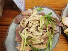 -九斤黄三黄鸡专卖店