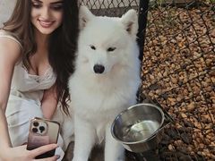 -TrueLove @ Neverland (Husky Cafe)
