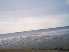 -北海金海湾红树林生态旅游区