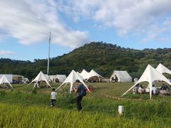 -艾米稻香小镇