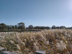 -野鸭湖国家湿地公园