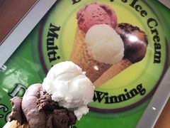 -Dooley's Premium Ice Cream