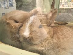 -龙猫仔乐园(惠福东路店)