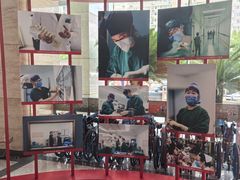 -中国人民解放军第九医学中心(306医院)