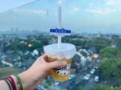 -顽啤熊·酒客酒馆(苏城夜景必选店)