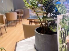 -THE WOODS 简餐 (国贸商城店)