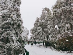 -南岳衡山风景名胜区