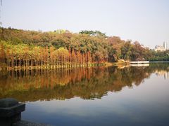 -三水森林公园