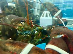 -海岛渔村大酒店(云霄路店)