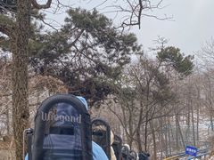 -沂蒙山旅游区云蒙景区(蒙山国家森林公园)