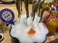 -尚海豆捞(乐虹坊店)