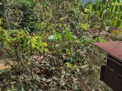 -韵之源农家菜(北京1店)