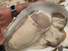 -千岛蚝高压锅生蚝·人参火锅(白云万达店)