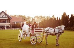 -IDO婚纱摄影(上海旗舰店)