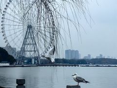 -无锡蠡湖国家湿地公园-蠡园
