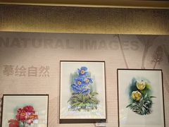 -四川大学博物馆