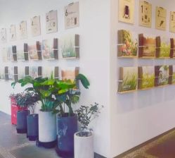 点击看大图 -悦诗风吟innisfree