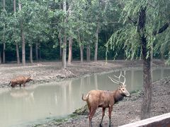 -溱湖国家湿地公园