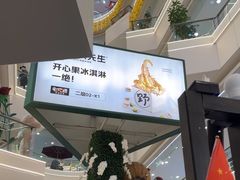 -野人先生Gelato(上海长宁龙之梦店)