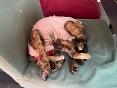 -EATALIA意塔利意式餐厅(鼓楼店)