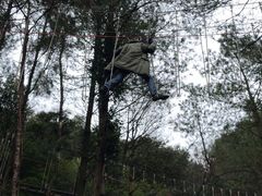-梦幻奥陶纪景区