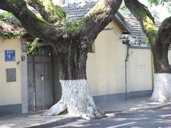 -颐和路民国时期公馆风貌区