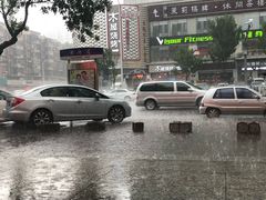 -二斗栗子(黄河道店)