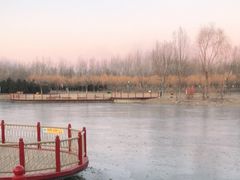-东郊湿地公园