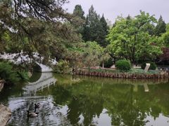 -宣武艺园