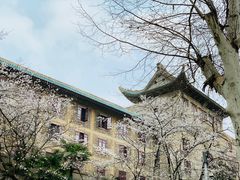 -武汉大学-樱园